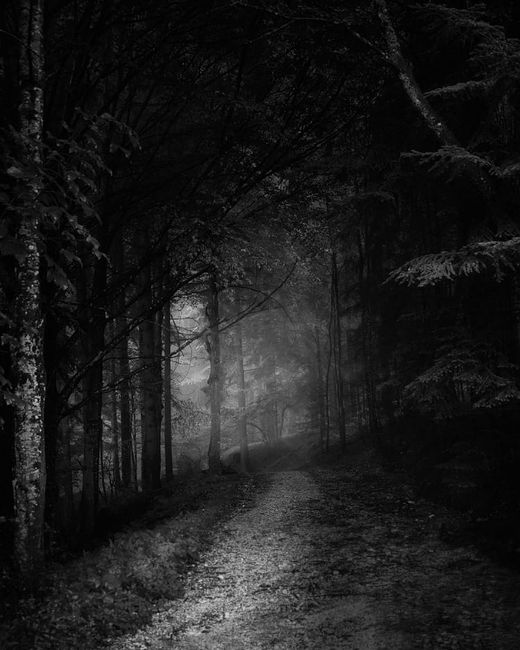 Understanding Monochromatic colors in photography