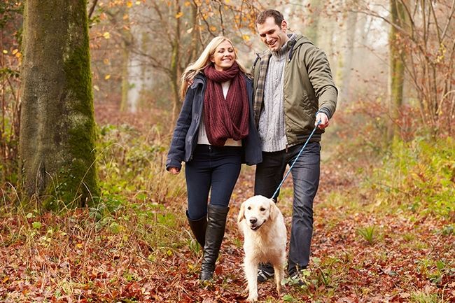 Happy couple walking with dog